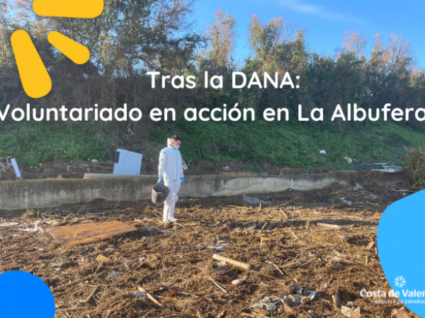 Tras la DANA: Voluntariado en acción en la Albufera