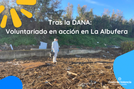 After the DANA: Volunteering in action in La Albufera